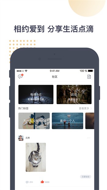 黄色标志的软件下载安装视频