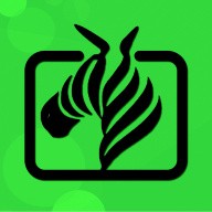樱花草播放免费观看完整版