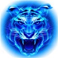 硬汉视频练就神之一手软件