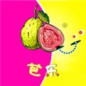粉色视频高清免费完整版
