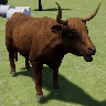 高地牛模拟器（Highland Cattle Sim）最新手游游戏版